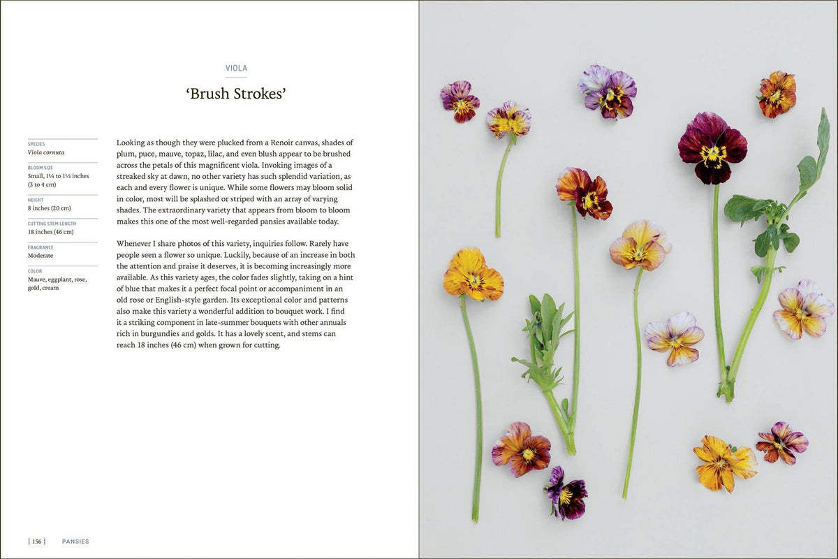 Pansies - Hardcover