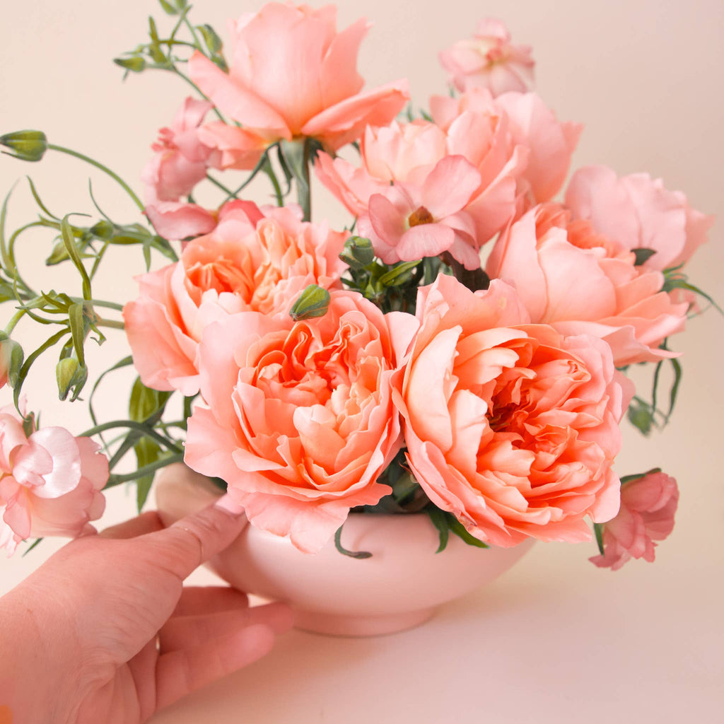 Birdie Bowl - Petal Pink, 8.25"