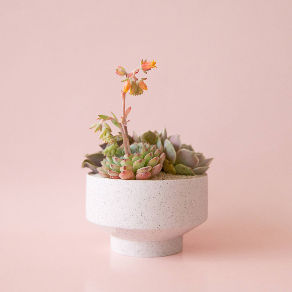 Speckle Footed Planter - White
