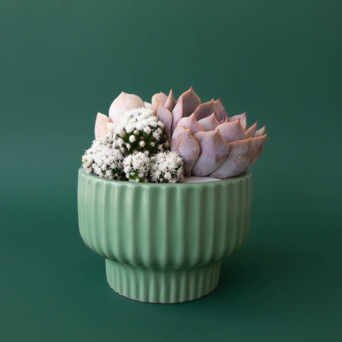 Presley Pedestal Planter - Jade, 6"