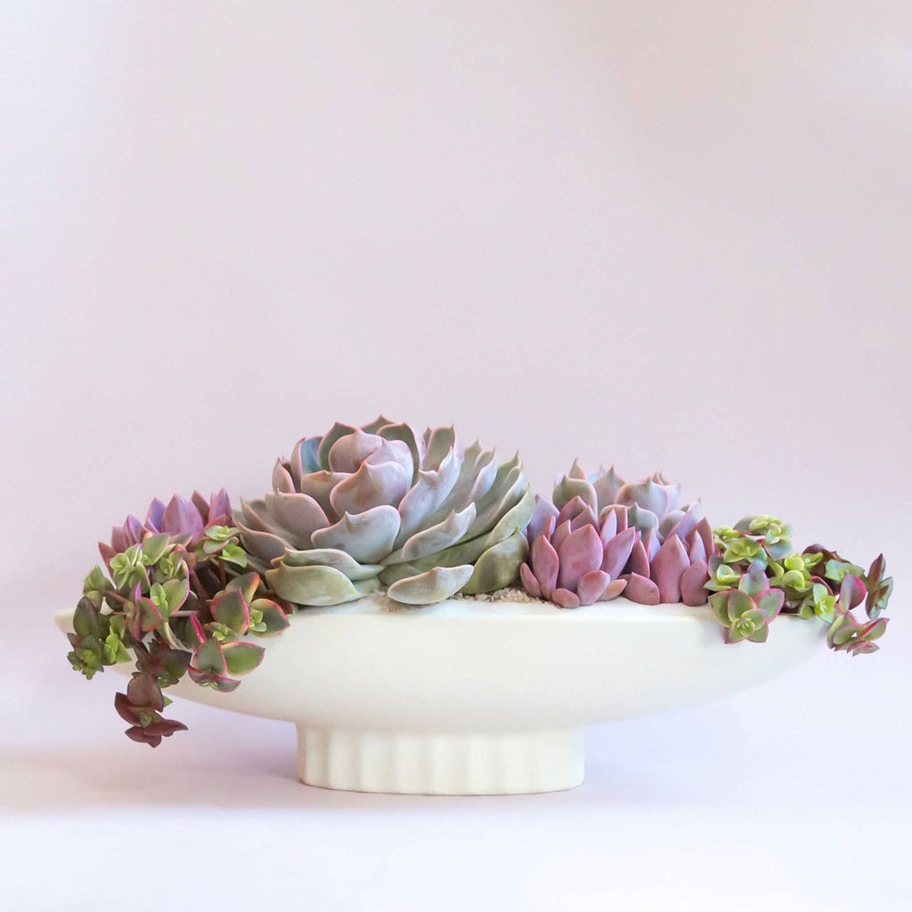 Luna Boat Bowl - Vintage White