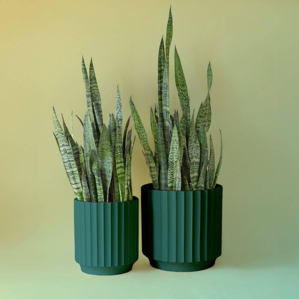 Monroe Planter Set of 2 - Rainforest - 10" & 12"