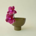 Crosby Compote - Olive, 8"