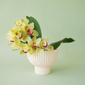 Priscilla Compote - Vintage White, 6"