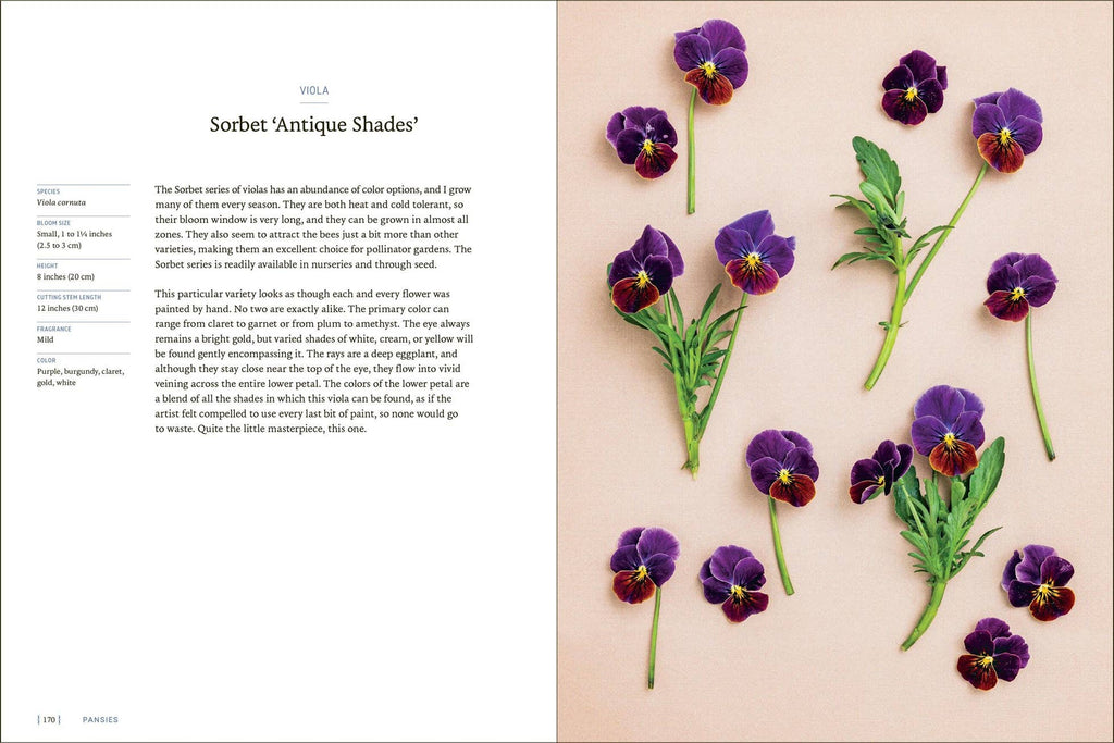 Pansies - Hardcover