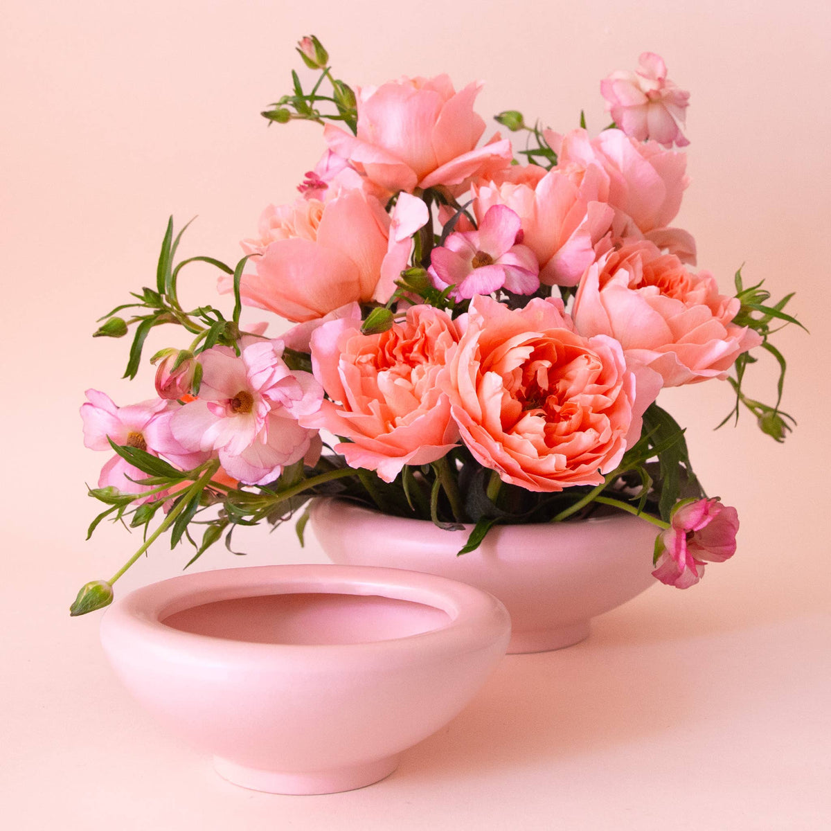 Birdie Bowl - Petal Pink, 8.25"