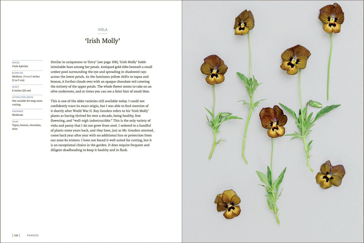 Pansies - Hardcover