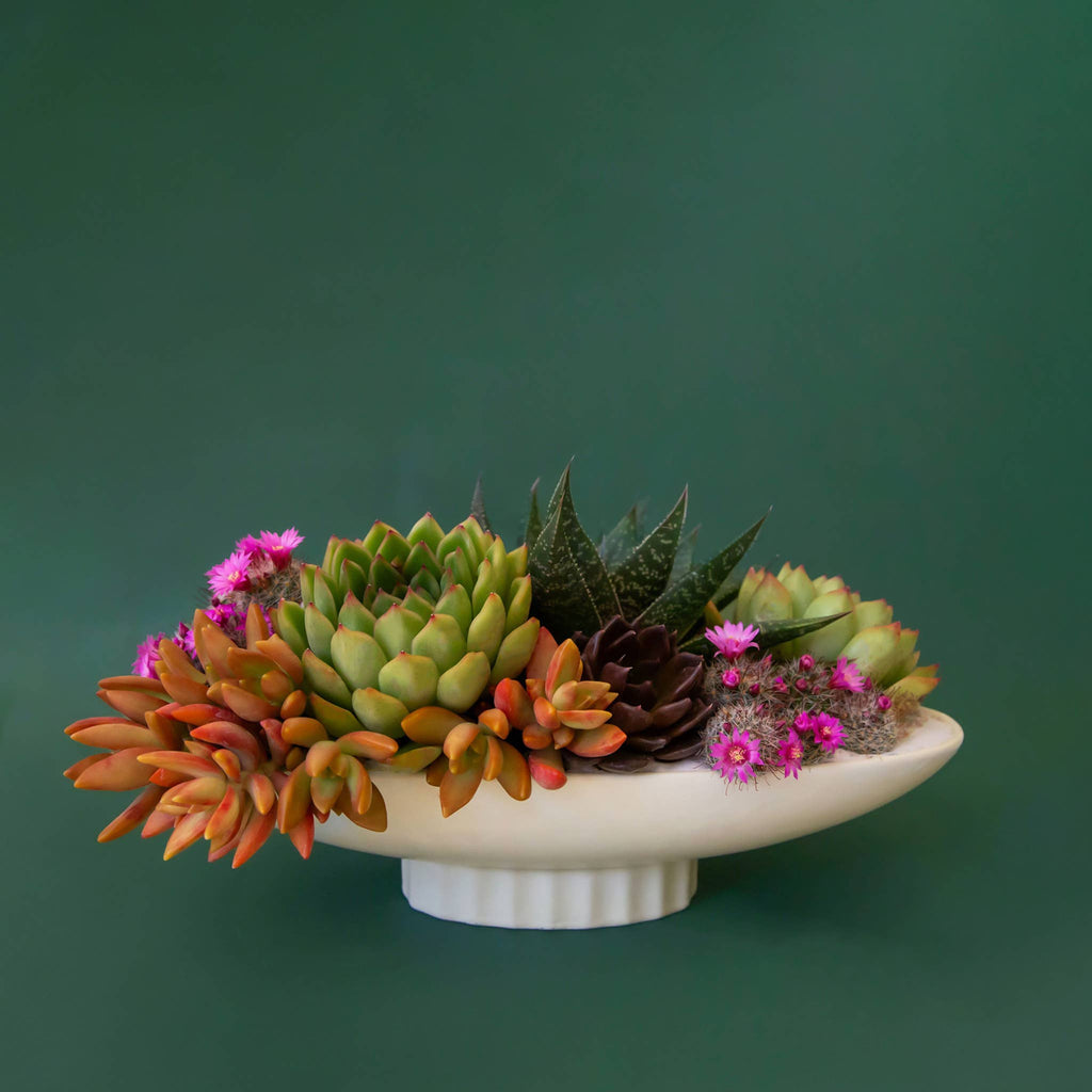 Luna Boat Bowl - Vintage White
